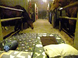 Image: Schlafen im Stall