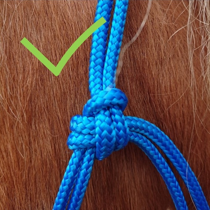 Image: Richtig: Der Knoten um die Schlaufe und das Ende zeigt nach hinten